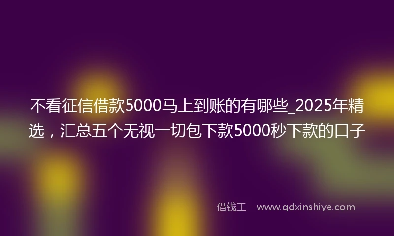 不看征信借款5000马上到账的有哪些_2025年精选,汇总五个无视一切包下款5000秒下款的口子