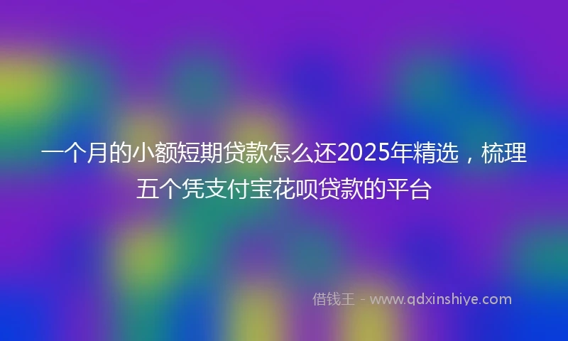 一个月的小额短期贷款怎么还2025年精选，梳理五个凭支付宝花呗贷款的平台