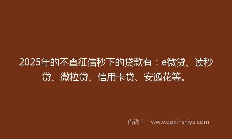2025年的不查征信秒下的贷款有：e微贷、读秒贷、微粒贷、信用卡贷、安逸花等。
