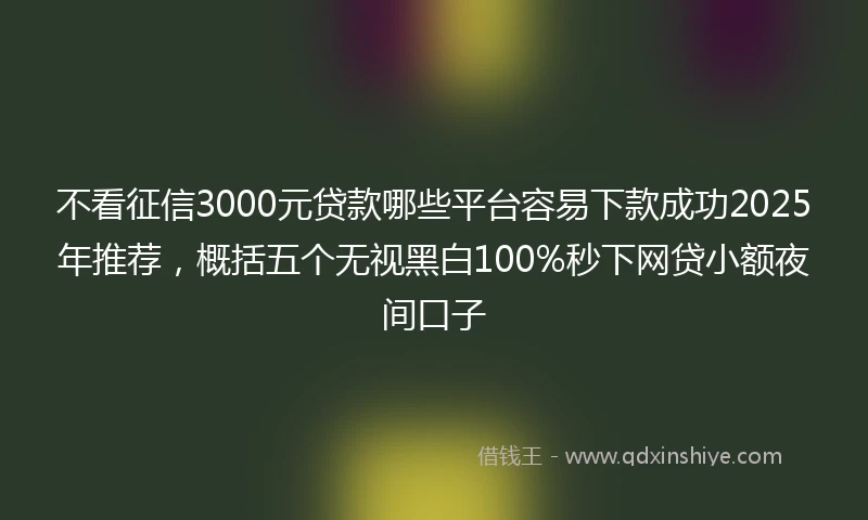 不看征信3000元贷款哪些平台容易下款成功2025年推荐，概括五个无视黑白100%秒下网贷小额夜间口子