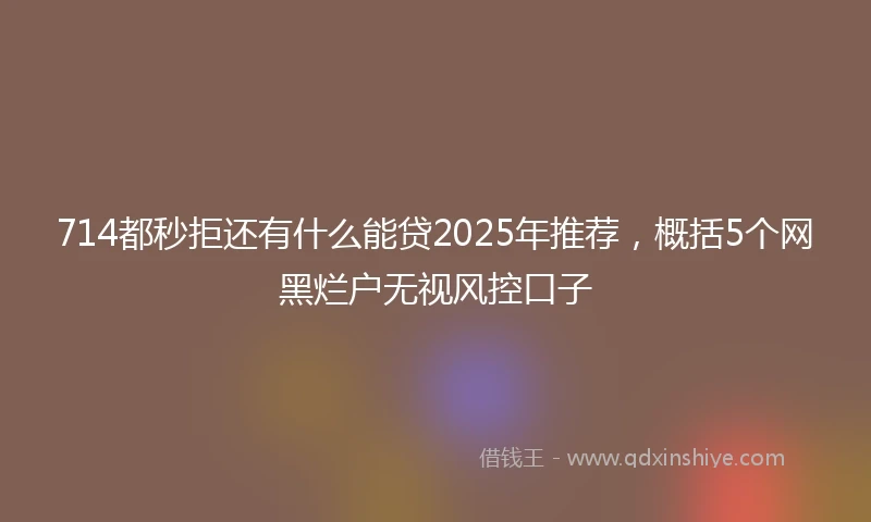 714都秒拒还有什么能贷2025年推荐，概括5个网黑烂户无视风控口子