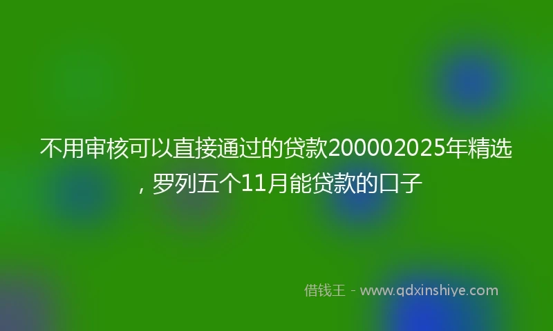 不用审核可以直接通过的贷款200002025年精选，罗列五个11月能贷款的口子
