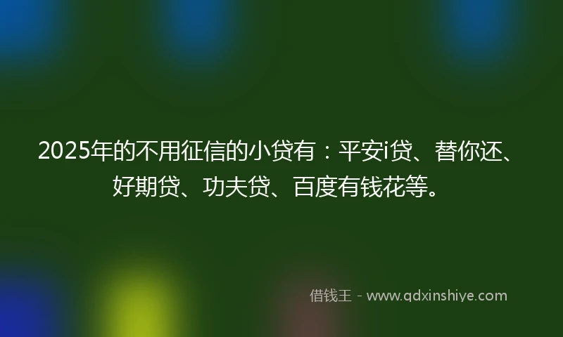 2025年的不用征信的小贷有：平安i贷、替你还、好期贷、功夫贷、百度有钱花等。