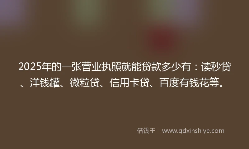 2025年的一张营业执照就能贷款多少有：读秒贷、洋钱罐、微粒贷、信用卡贷、百度有钱花等。