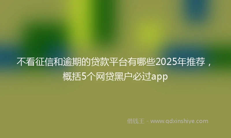 不看征信和逾期的贷款平台有哪些2025年推荐，概括5个网贷黑户必过app