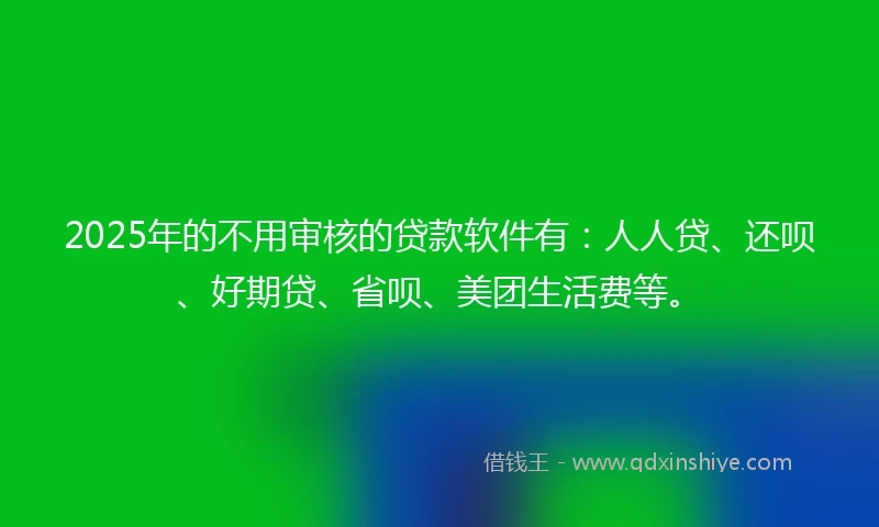 2025年的不用审核的贷款软件有：人人贷、还呗、好期贷、省呗、美团生活费等。