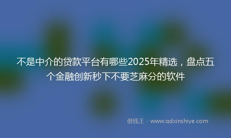 不是中介的贷款平台有哪些2025年精选，盘点五个金融创新秒下不要芝麻分的软件