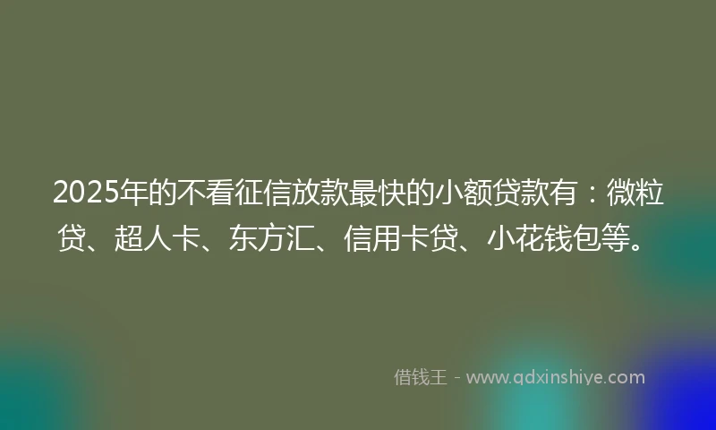 2025年的不看征信放款最快的小额贷款有：微粒贷、超人卡、东方汇、信用卡贷、小花钱包等。