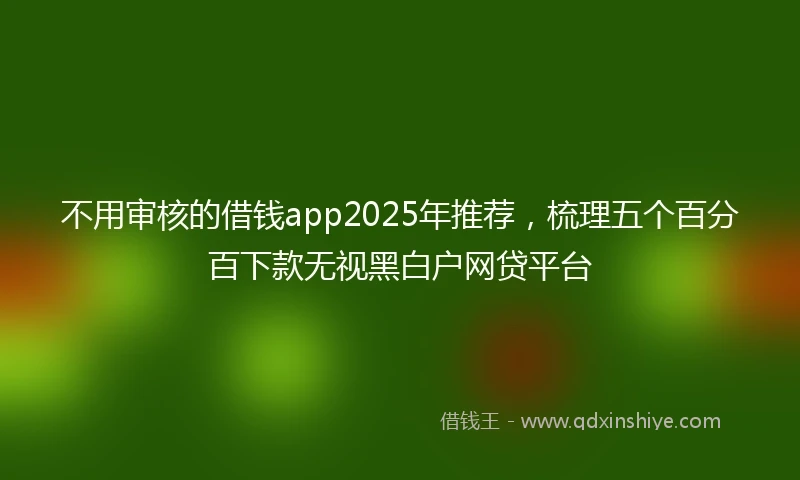 不用审核的借钱app2025年推荐，梳理五个百分百下款无视黑白户网贷平台