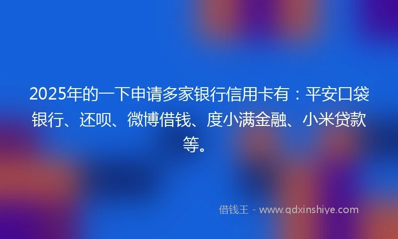 2025年的一下申请多家银行信用卡有：平安口袋银行、还呗、微博借钱、度小满金融、小米贷款等。