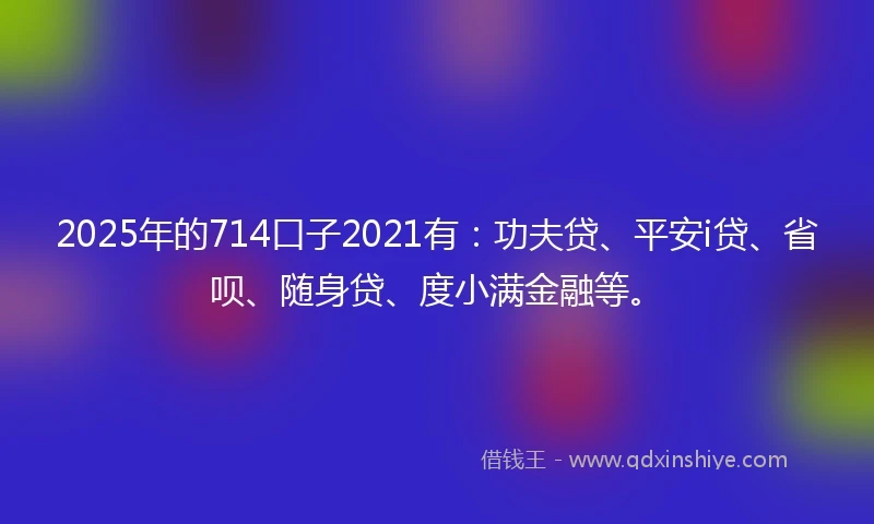 2025年的714口子2021有：功夫贷、平安i贷、省呗、随身贷、度小满金融等。