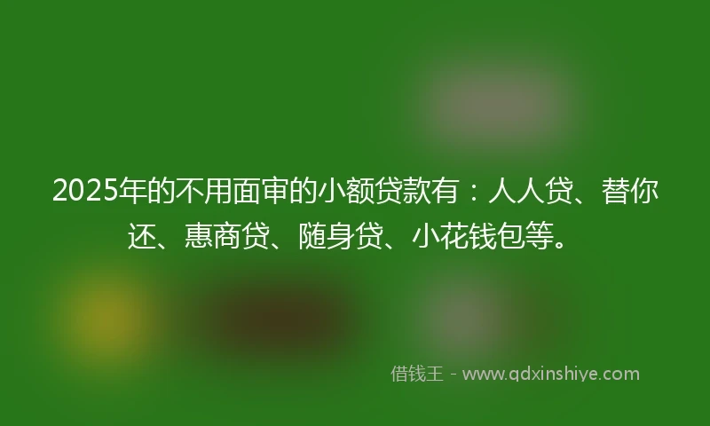 2025年的不用面审的小额贷款有：人人贷、替你还、惠商贷、随身贷、小花钱包等。