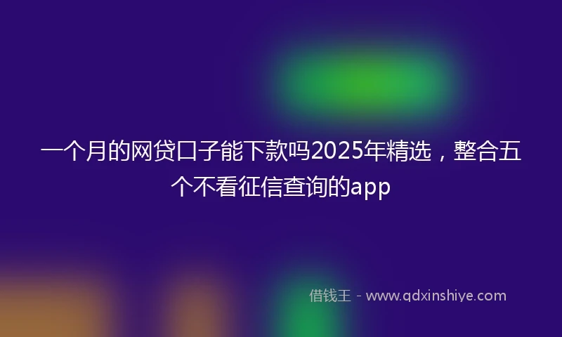 一个月的网贷口子能下款吗2025年精选，整合五个不看征信查询的app