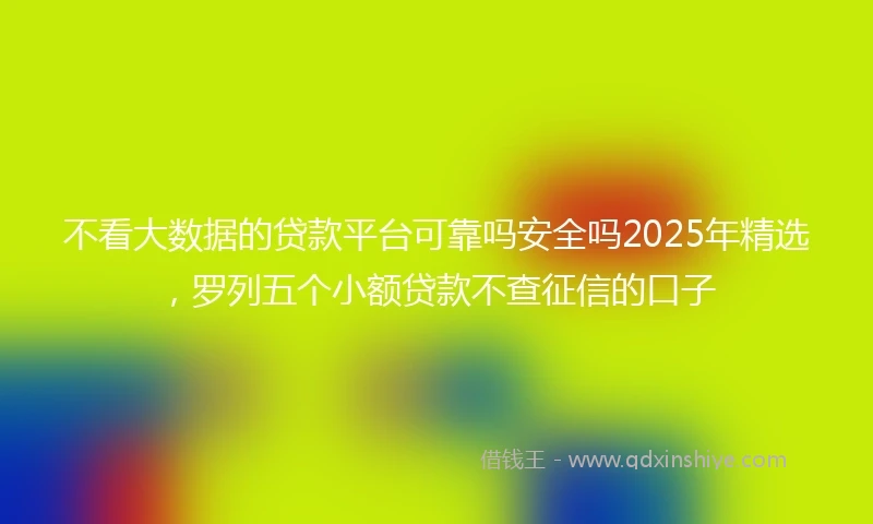 不看大数据的贷款平台可靠吗安全吗2025年精选，罗列五个小额贷款不查征信的口子