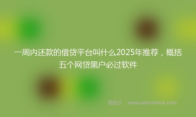 一周内还款的借贷平台叫什么2025年推荐，概括五个网贷黑户必过软件