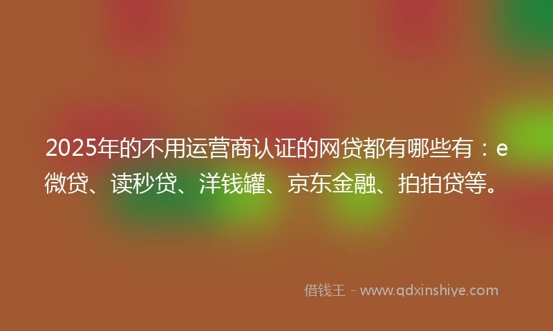2025年的不用运营商认证的网贷都有哪些有：e微贷、读秒贷、洋钱罐、京东金融、拍拍贷等。
