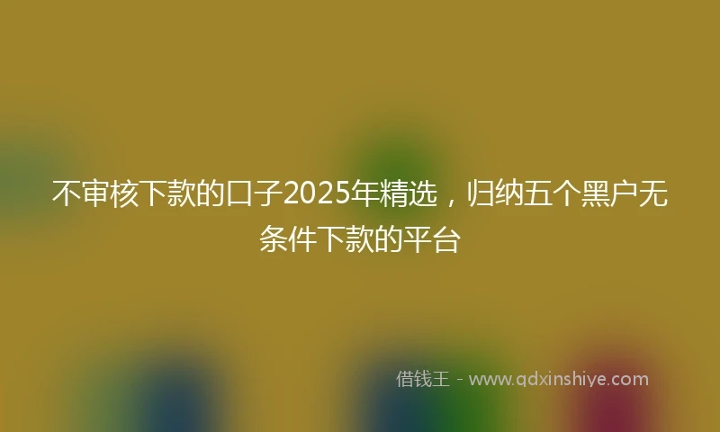 不审核下款的口子2025年精选，归纳五个黑户无条件下款的平台