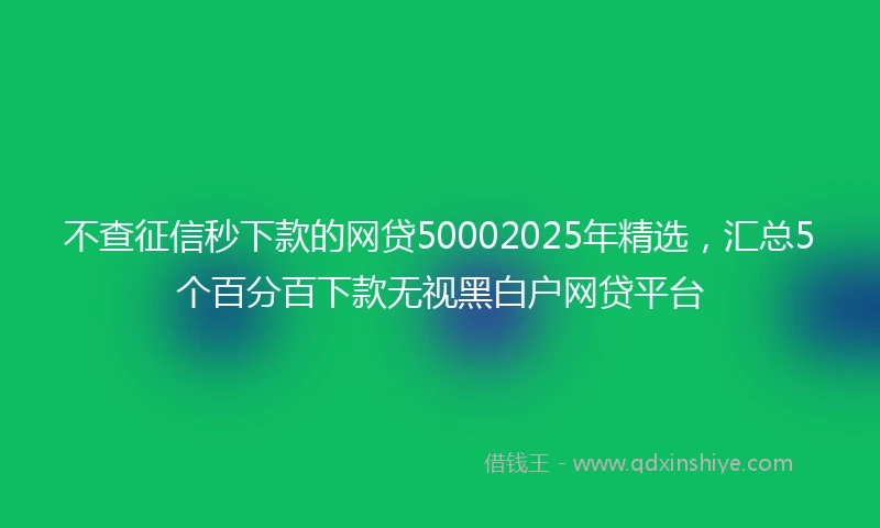 不查征信秒下款的网贷50002025年精选，汇总5个百分百下款无视黑白户网贷平台