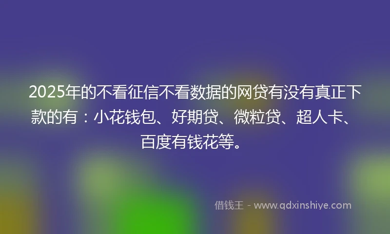 2025年的不看征信不看数据的网贷有没有真正下款的有：小花钱包、好期贷、微粒贷、超人卡、百度有钱花等。
