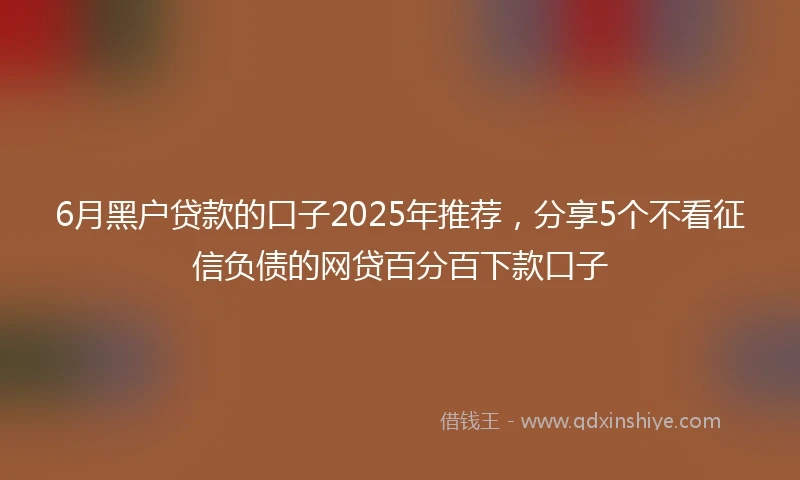 6月黑户贷款的口子2025年推荐，分享5个不看征信负债的网贷百分百下款口子