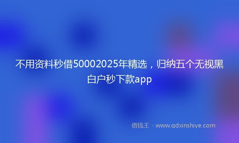 不用资料秒借50002025年精选，归纳五个无视黑白户秒下款app