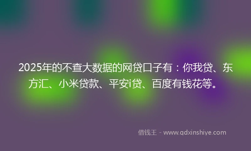2025年的不查大数据的网贷口子有：你我贷、东方汇、小米贷款、平安i贷、百度有钱花等。