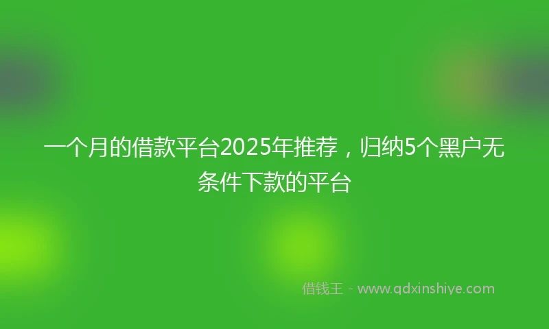 一个月的借款平台2025年推荐，归纳5个黑户无条件下款的平台