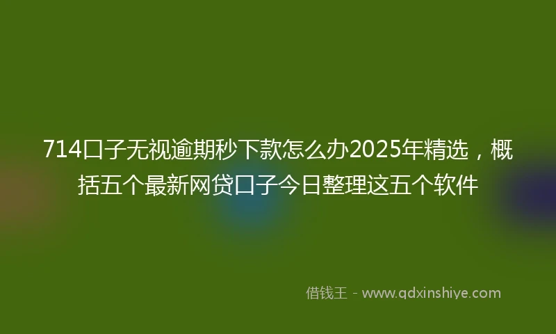 714口子无视逾期秒下款怎么办2025年精选，概括五个最新网贷口子今日整理这五个软件