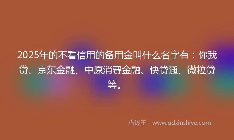 2025年的不看信用的备用金叫什么名字有：你我贷、京东金融、中原消费金融、快贷通、微粒贷等。
