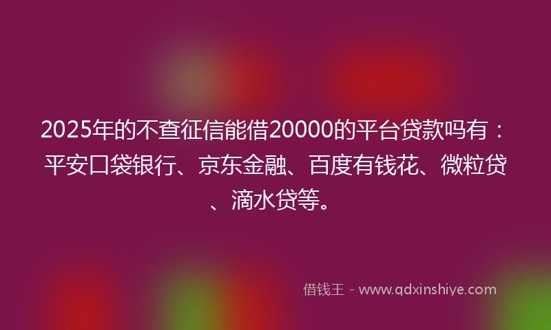 2025年的不查征信能借20000的平台贷款吗有：平安口袋银行、京东金融、百度有钱花、微粒贷、滴水贷等。