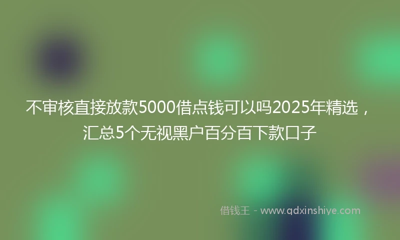 不审核直接放款5000借点钱可以吗2025年精选，汇总5个无视黑户百分百下款口子