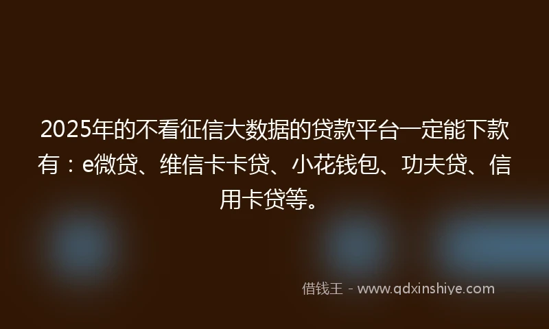 2025年的不看征信大数据的贷款平台一定能下款有:e微贷、维信卡卡贷、小花钱包、功夫贷、信用卡贷等。