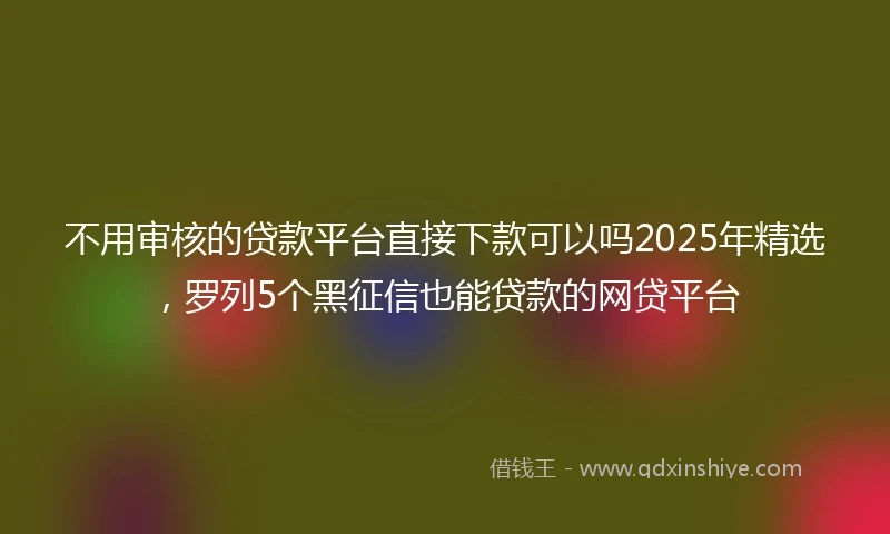 不用审核的贷款平台直接下款可以吗2025年精选，罗列5个黑征信也能贷款的网贷平台