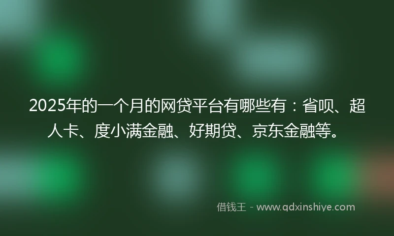 2025年的一个月的网贷平台有哪些有：省呗、超人卡、度小满金融、好期贷、京东金融等。