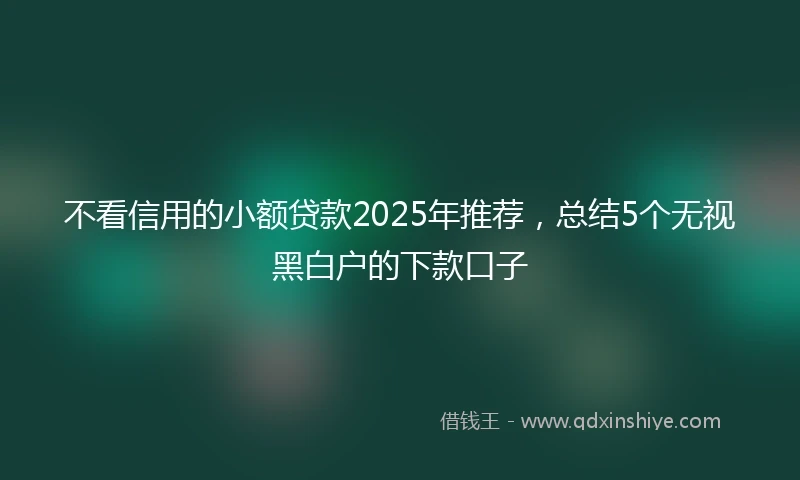 不看信用的小额贷款2025年推荐，总结5个无视黑白户的下款口子