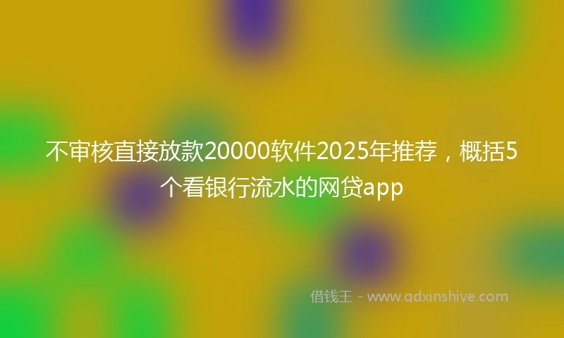 不审核直接放款20000软件2025年推荐，概括5个看银行流水的网贷app