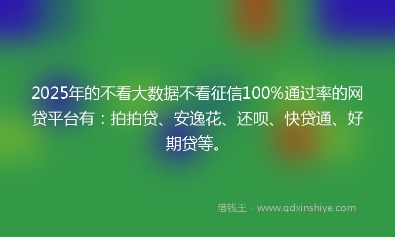 2025年的不看大数据不看征信100%通过率的网贷平台有：拍拍贷、安逸花、还呗、快贷通、好期贷等。