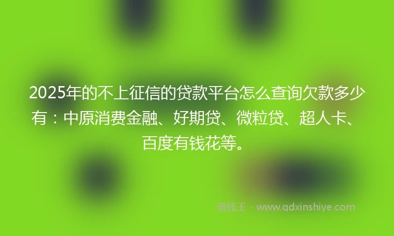 2025年的不上征信的贷款平台怎么查询欠款多少有：中原消费金融、好期贷、微粒贷、超人卡、百度有钱花等。