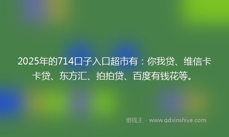 2025年的714口子入口超市有：你我贷、维信卡卡贷、东方汇、拍拍贷、百度有钱花等。