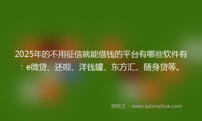 2025年的不用征信就能借钱的平台有哪些软件有：e微贷、还呗、洋钱罐、东方汇、随身贷等。