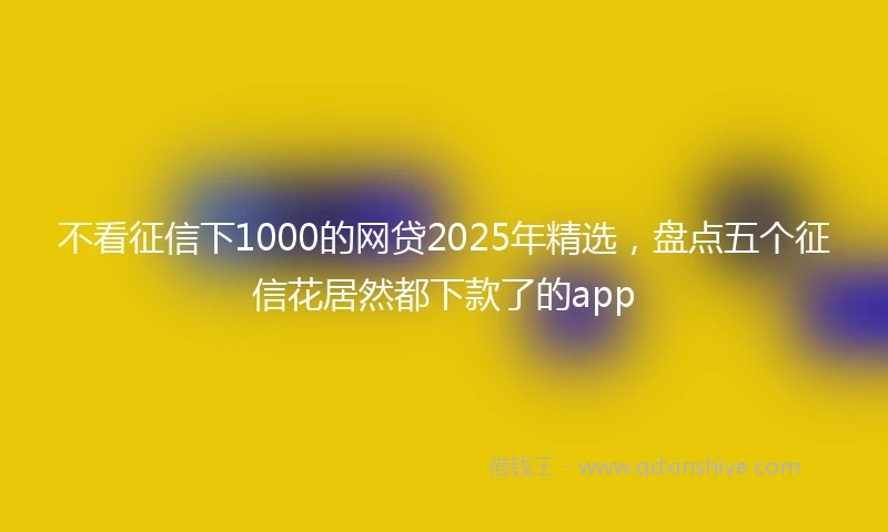 不看征信下1000的网贷2025年精选，盘点五个征信花居然都下款了的app