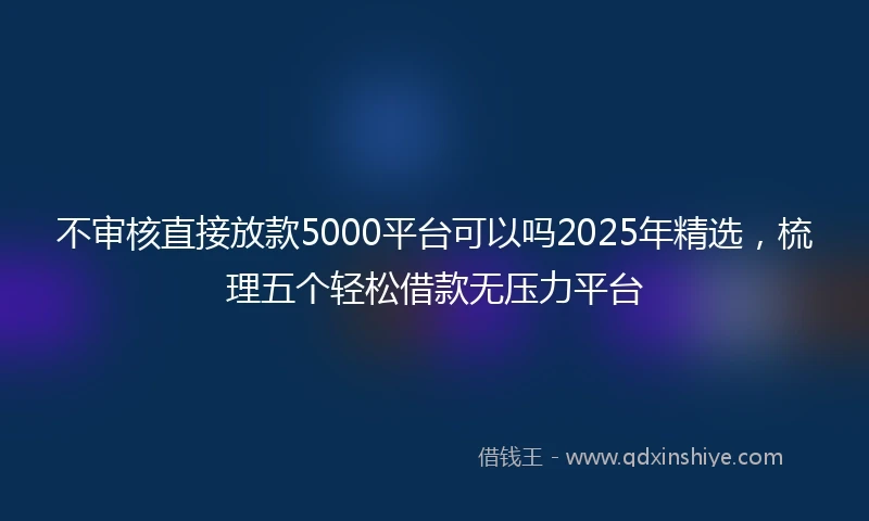 不审核直接放款5000平台可以吗2025年精选，梳理五个轻松借款无压力平台