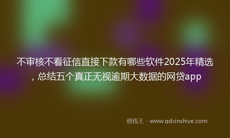 不审核不看征信直接下款有哪些软件2025年精选，总结五个真正无视逾期大数据的网贷app