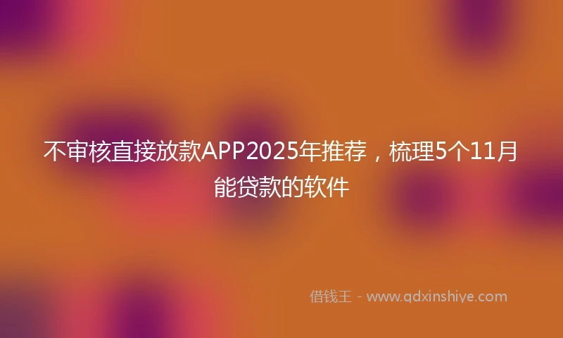 不审核直接放款APP2025年推荐，梳理5个11月能贷款的软件