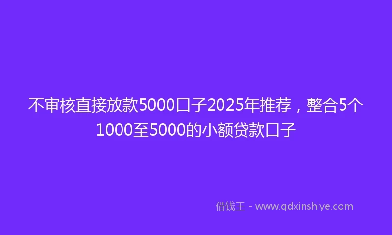 不审核直接放款5000口子2025年推荐，整合5个1000至5000的小额贷款口子