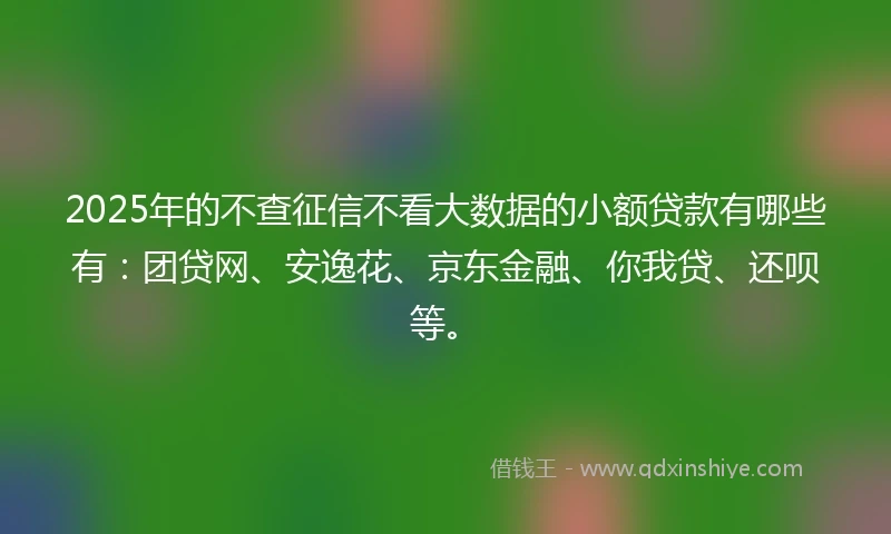 2025年的不查征信不看大数据的小额贷款有哪些有：团贷网、安逸花、京东金融、你我贷、还呗等。