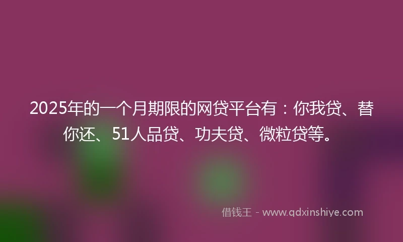 2025年的一个月期限的网贷平台有：你我贷、替你还、51人品贷、功夫贷、微粒贷等。