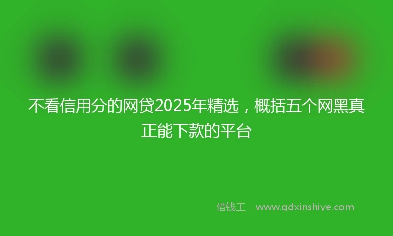 不看信用分的网贷2025年精选，概括五个网黑真正能下款的平台
