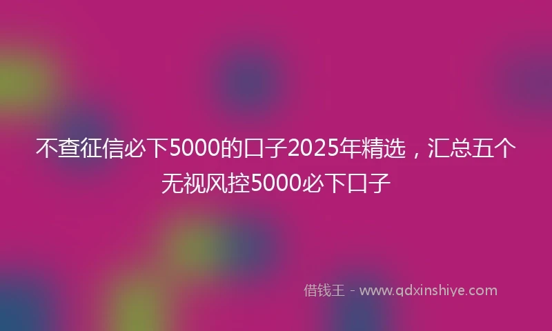 不查征信必下5000的口子2025年精选，汇总五个无视风控5000必下口子