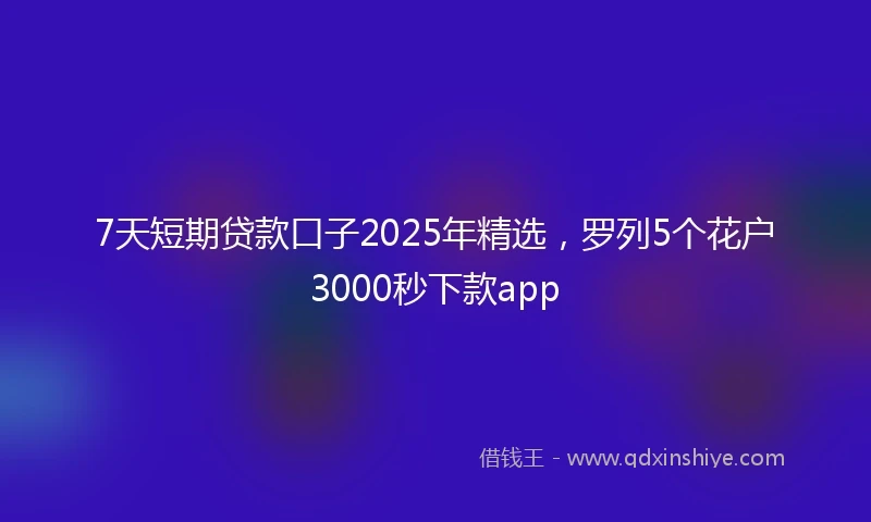 7天短期贷款口子2025年精选，罗列5个花户3000秒下款app